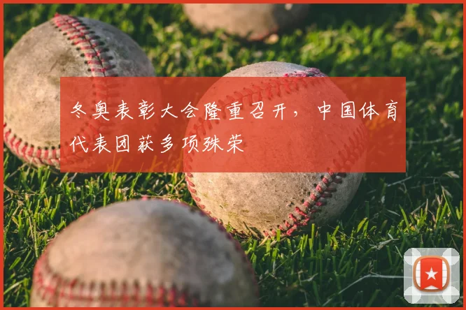 冬奥表彰大会隆重召开，中国体育代表团获多项殊荣
