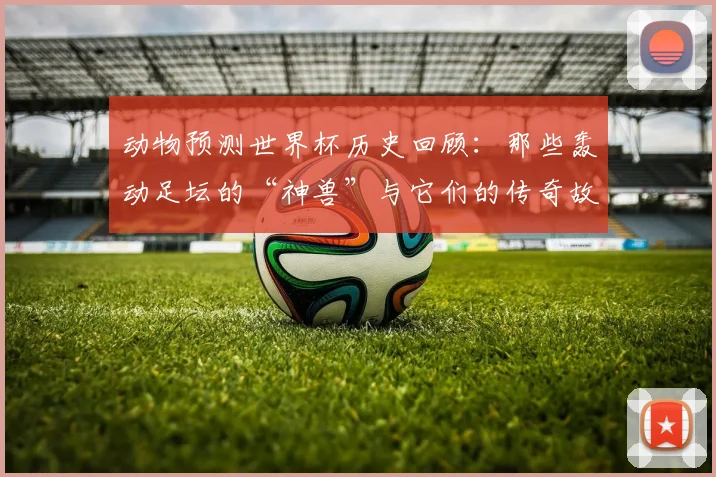 动物预测世界杯历史回顾：那些轰动足坛的“神兽”与它们的传奇故事。