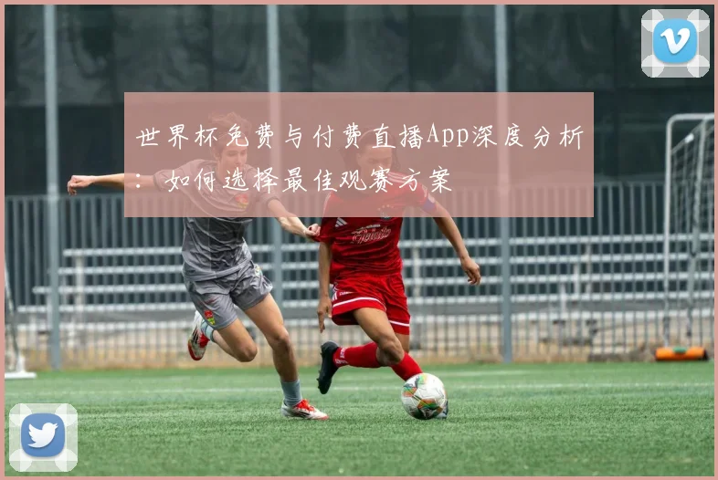 世界杯免费与付费直播App深度分析:如何选择最佳观赛方案