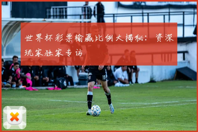 世界杯彩票输赢比例大揭秘：资深玩家独家专访