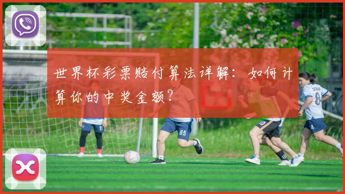 世界杯彩票赔付算法详解：如何计算你的中奖金额？
