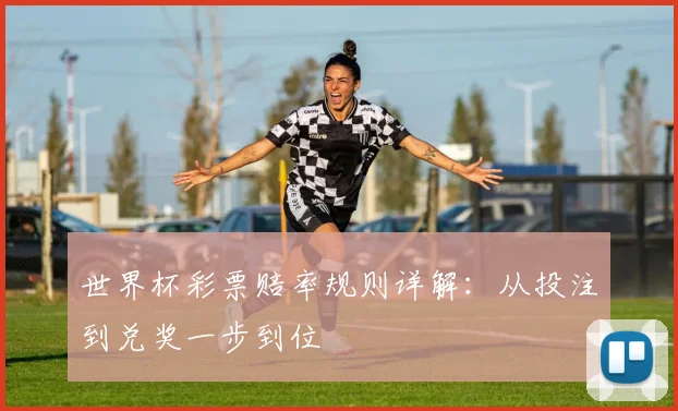 世界杯彩票赔率规则详解：从投注到兑奖一步到位