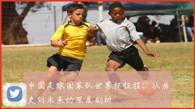 中国足球国家队世界杯征程:从历史到未来的深度剖析