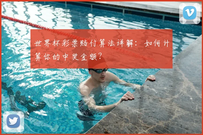 世界杯彩票赔付算法详解：如何计算你的中奖金额？