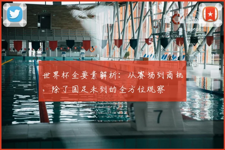 世界杯全要素解析：从赛场到商机，除了国足未到的全方位观察