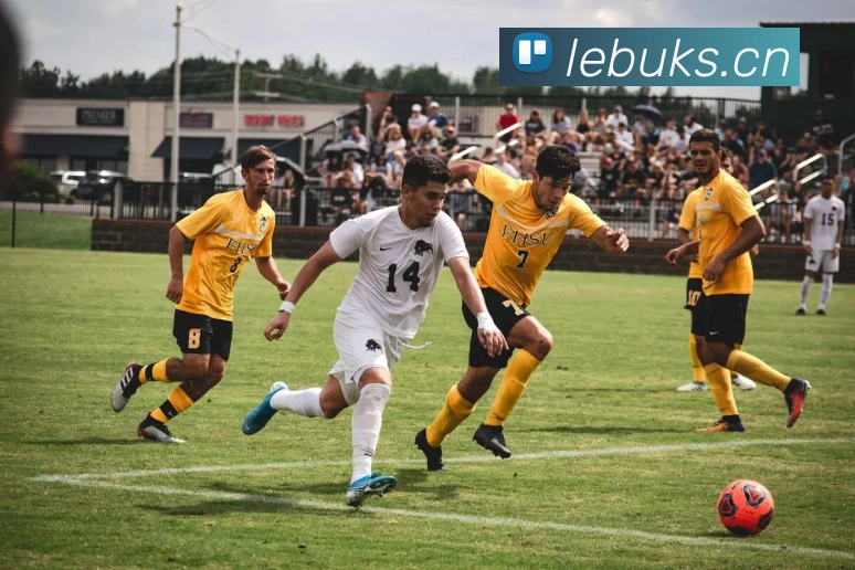 华体网官网主页服务体系