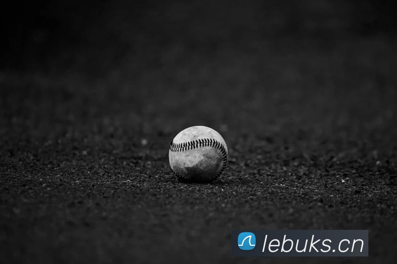 华体网官网主页APP 体育赛事宣传图